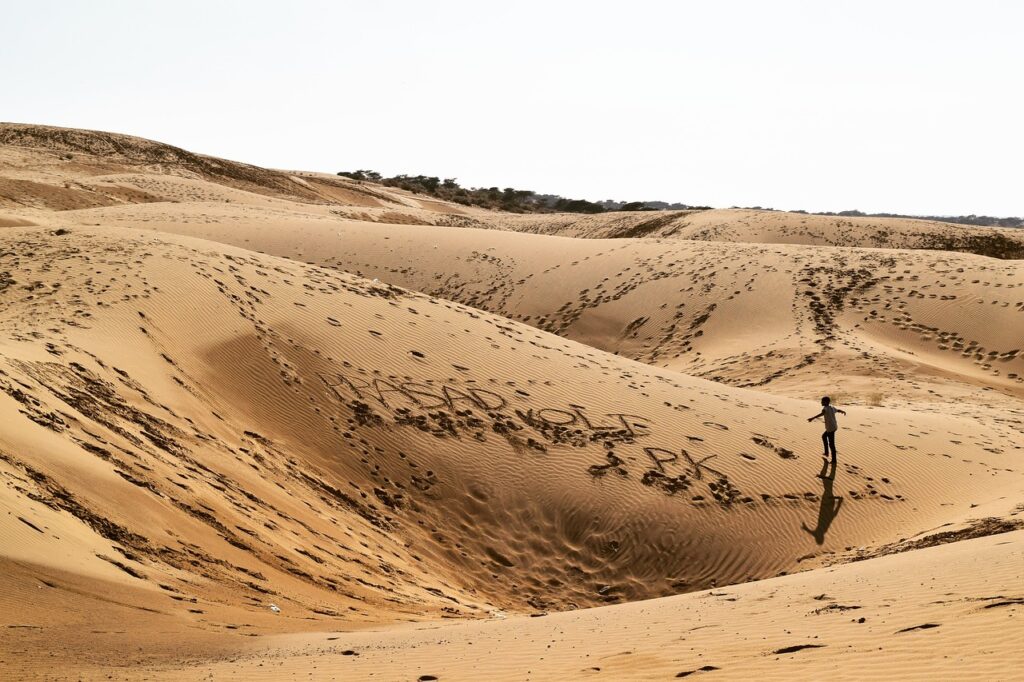 the thar desert