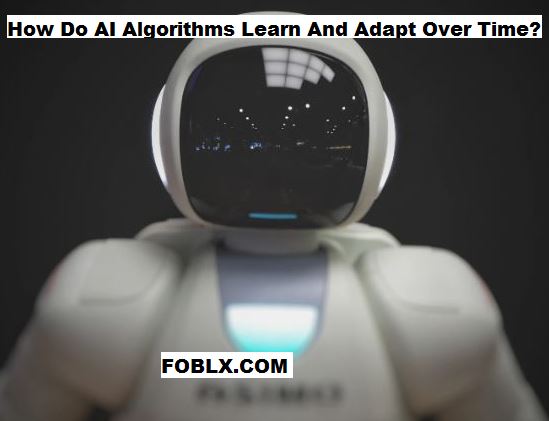 How Do AI Algorithms Learn And Adapt Over Time