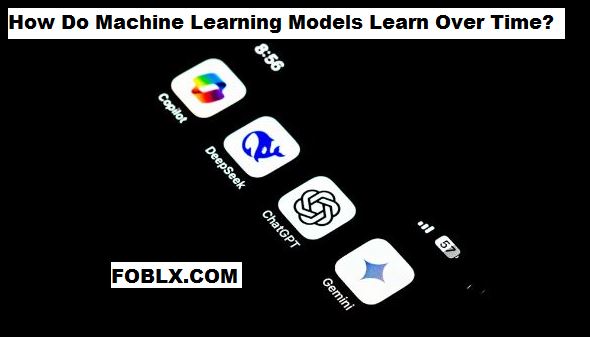 How Do Machine Learning Models Learn Over Time